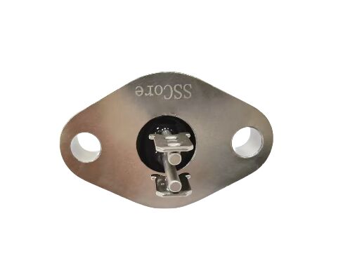 ELAN 48 グラス材料 2 ピンの番号を含むガラス金属シール 電子部品やセンサー装置に最適